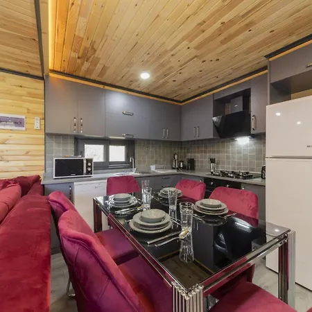 Detached With Garden In Apartman Antalya